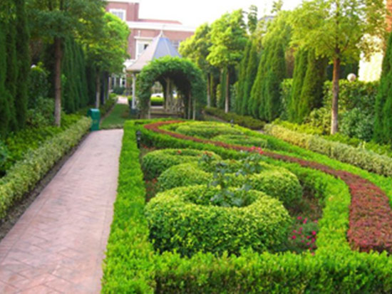 八、绿化养护